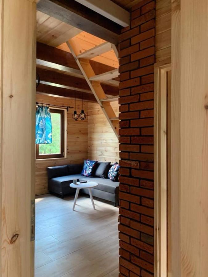 Villa Nad Czarna Sielpia Wielka Exterior foto